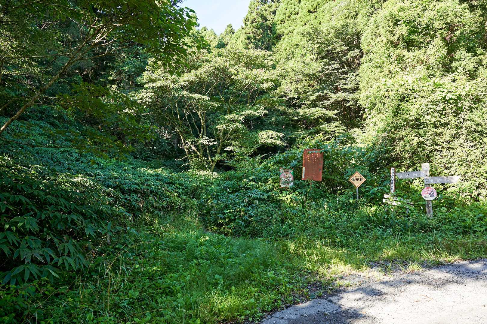 車谷登山口に到着。だいぶ薮薮だけど・・・