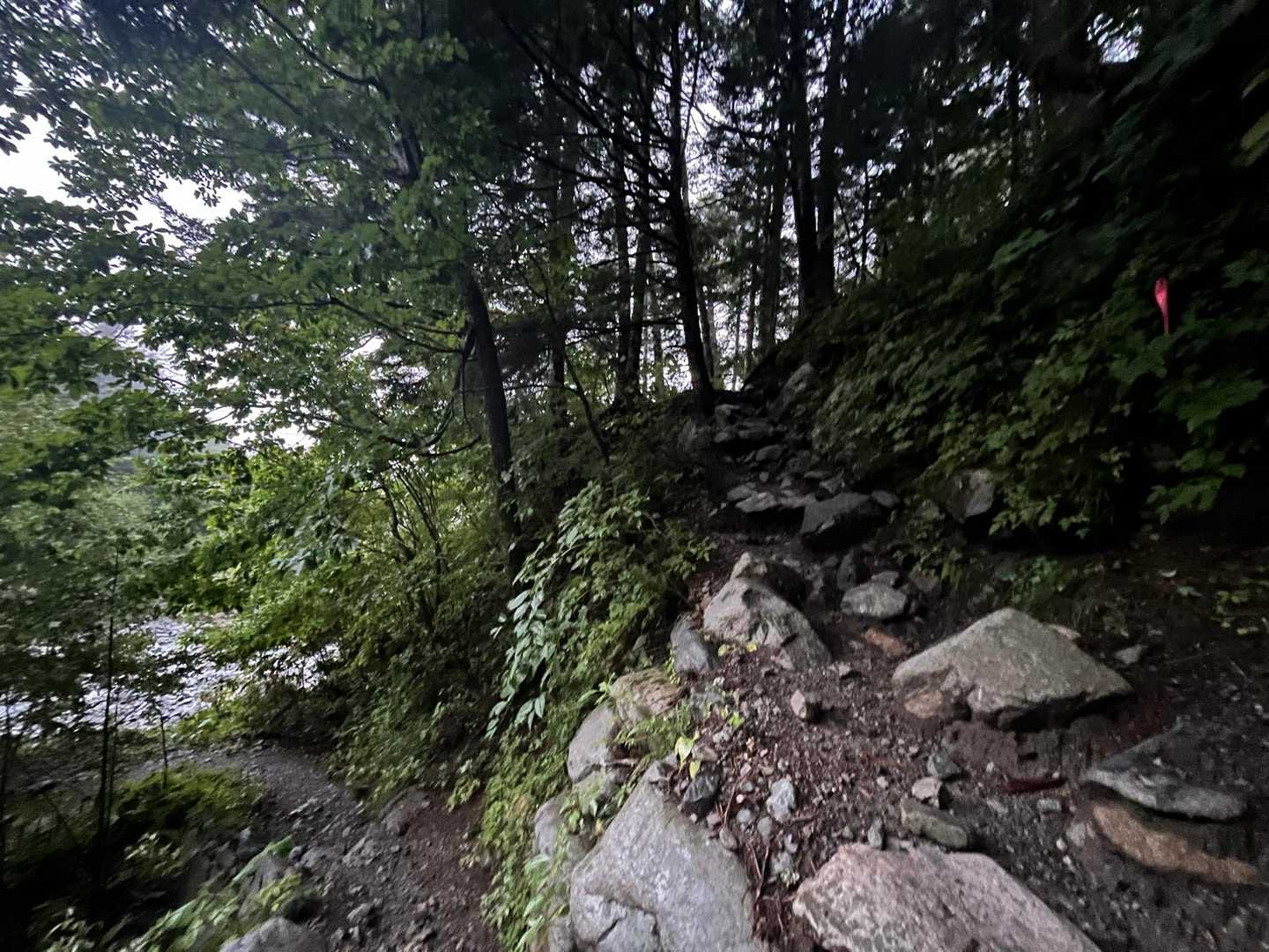 白出沢から槍平山荘までが長く感じました
