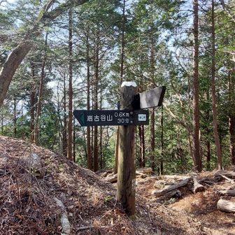 疲れたので岩古谷山はパス。