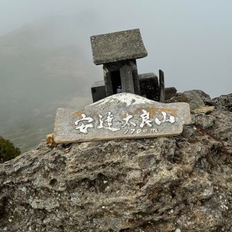 今日は、山頂まで登りました。