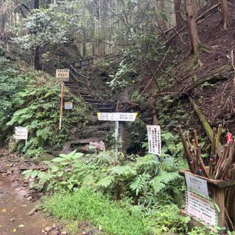 雨で、水の流れが多いですね。