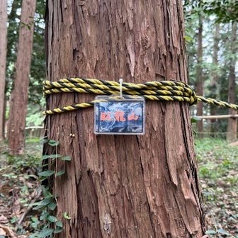 臥龍山山頂