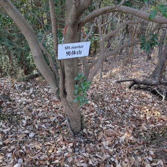 山名板オシャレね～🤠