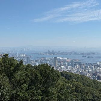 神戸の東の方
六甲アイランド、大阪…