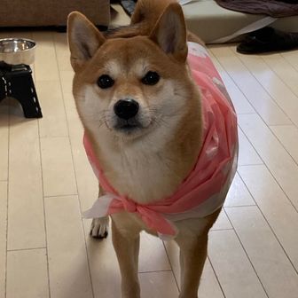 みき