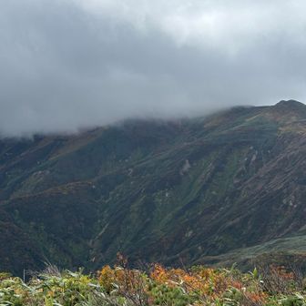大朝日岳の山頂は終始見えず
