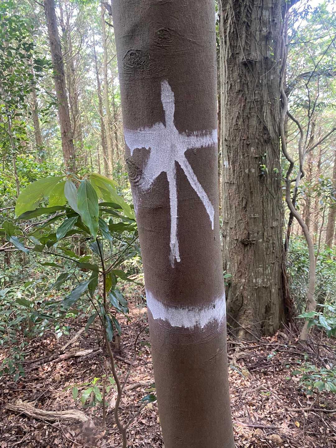 梅平和「忍び足で黄色い生物に注意を最大限に払い‥‥

無事下山作戦　決行ぢゃ！」