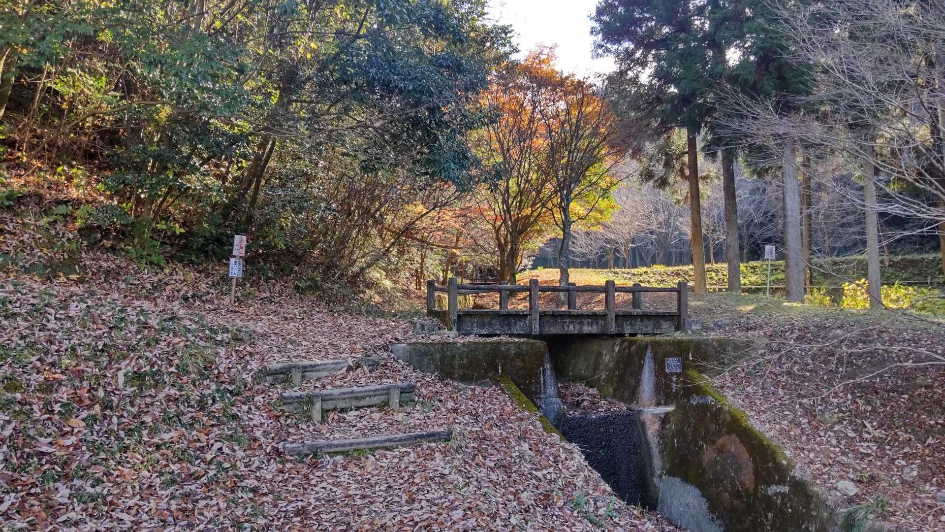 落ち葉が積もって良い感じの登山口です🍂