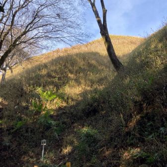 山頂見えてきた😆