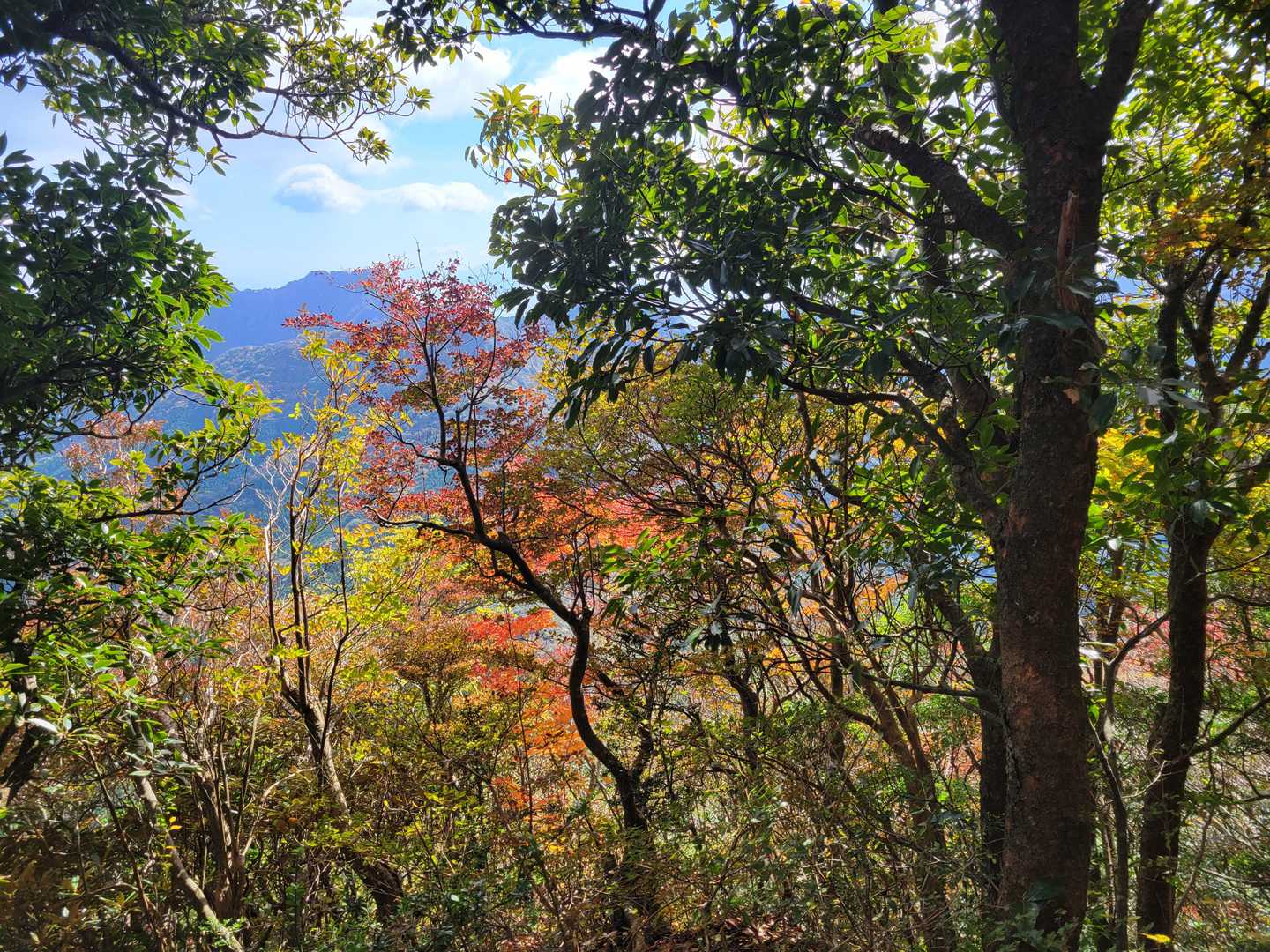 経ヶ岳-笹岳 周回コースの写真