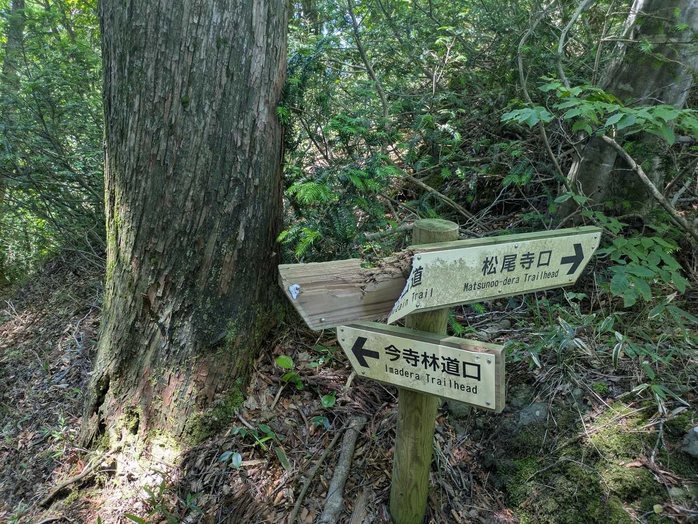 ベアクローでやられた道標😱