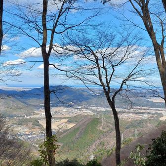 木の隙間から見える
眺望良いです😊