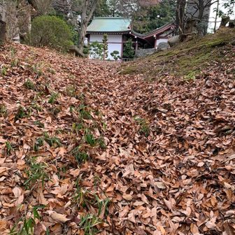愛宕神社に到着ー