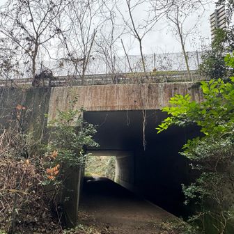 紀泉アルプス・飯盛山・ボンデン山 阪和道の下を通ります…ちょっと怖い💦