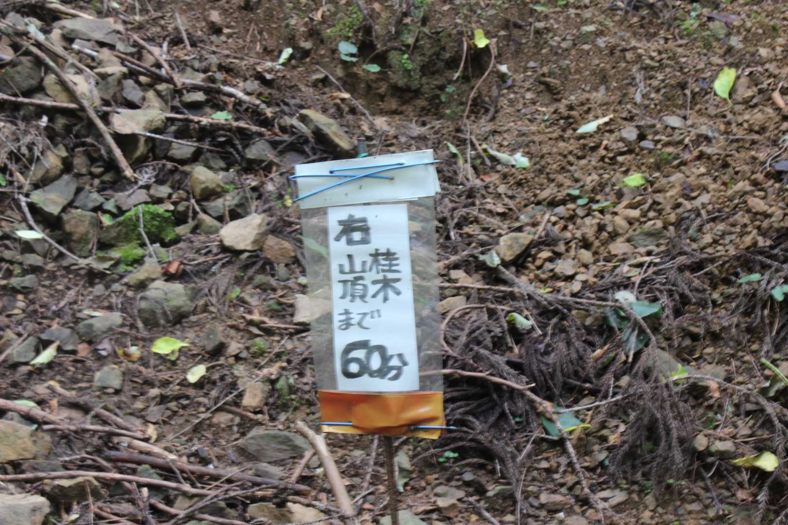 桂木山 往復コースの写真