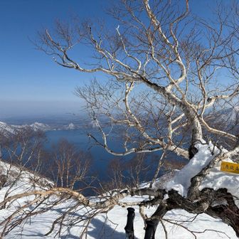 登った甲斐があった😍