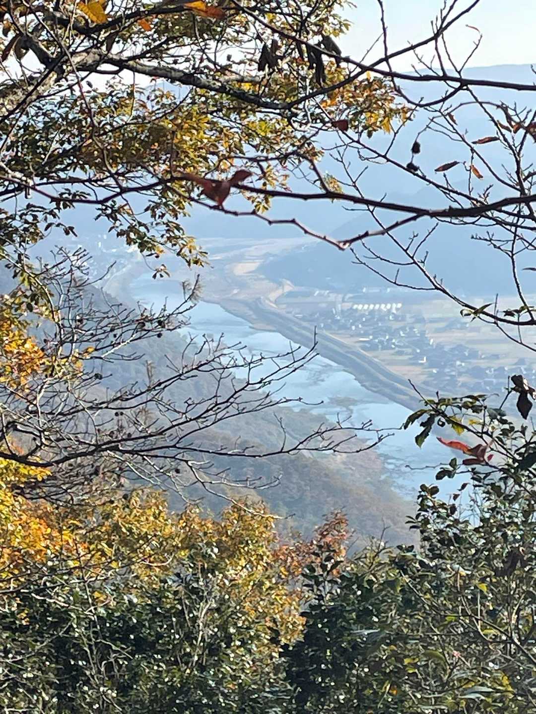 吉井川