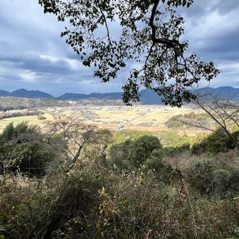 こっちもステキ…