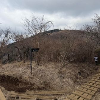 歩きやすく🚶‍♀️