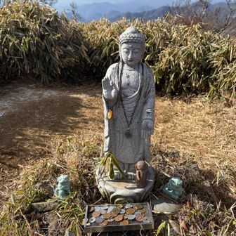 スカッと爽やかにお詣り🙏
