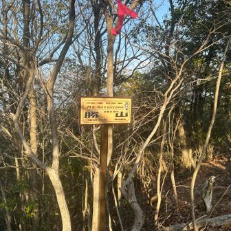 北尾根のピークは通りすがり…
今日の最後のピーク「勝山」