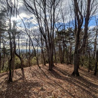 一時の木漏れ日。
山に来ないと見れない、感じられない。
気持ちのいい瞬間。
