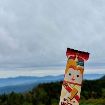 この韓国のお菓子好きです🫶
今ハマってます
ビスケットの間にチョコあり🍫