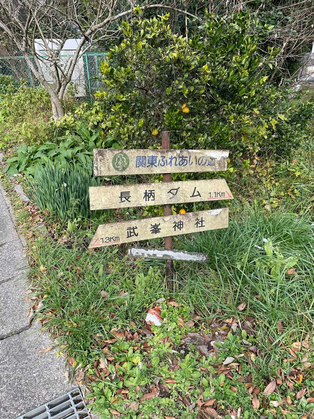 あれ？ここから長柄ダムって1.1kmしかないの？
横に長いから端っこはこっちの方になるのかな。
でもこっち側の半分くらいって、今は立入禁止じゃ無いっけ？

