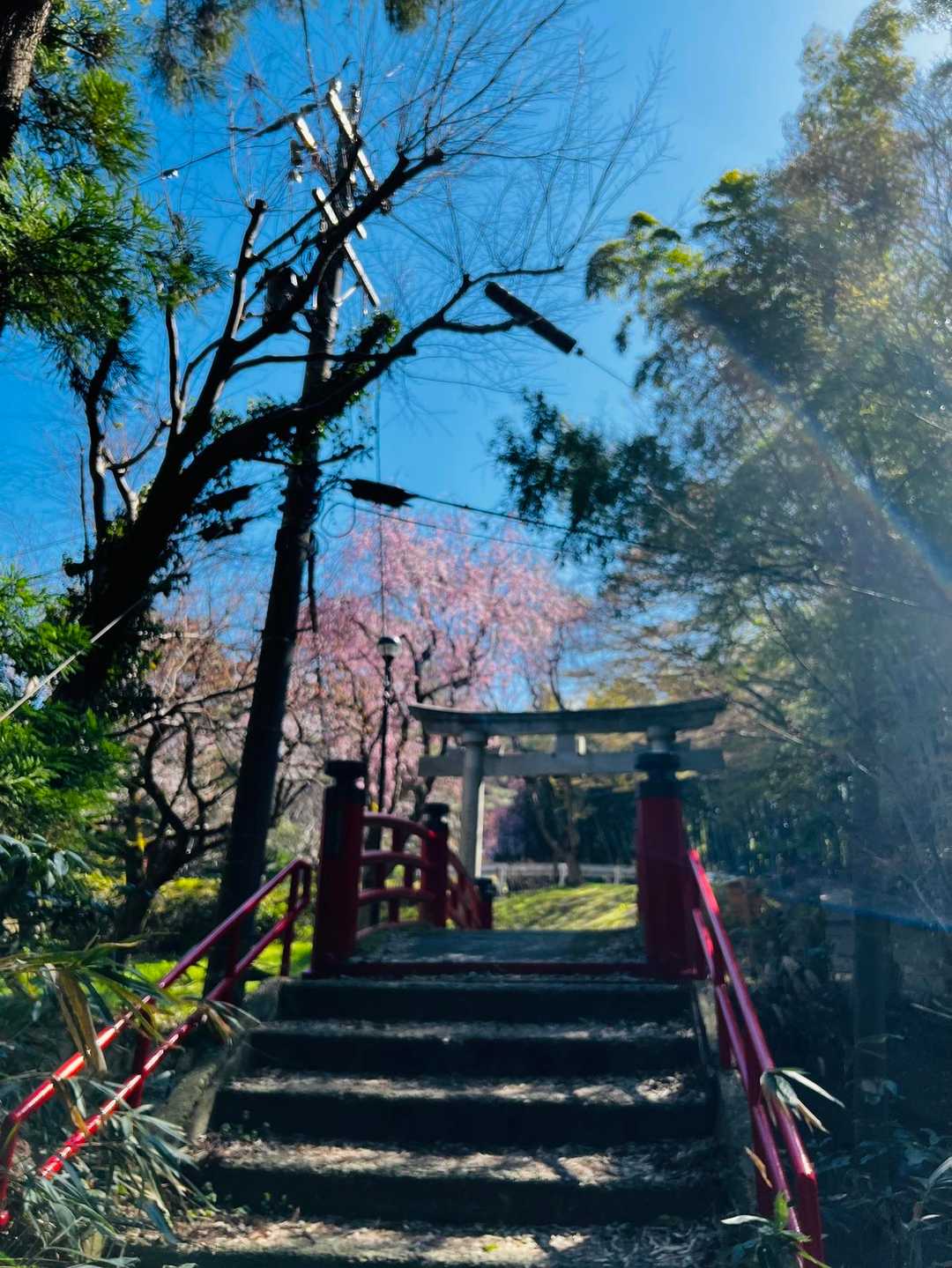 卯辰山 往復コースの写真