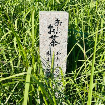 この辺のお茶も使ってるのだろうか。