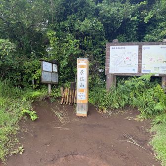 景信山　登頂❗️