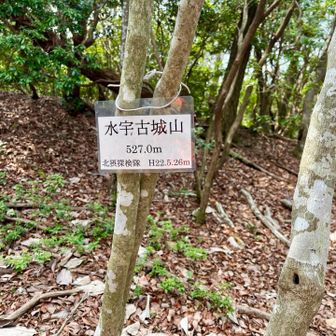 未踏のグレーピーク
城があった気配はありませんでした