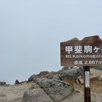 裏に書いてあった😅
何故２つ書いてあるのかな？