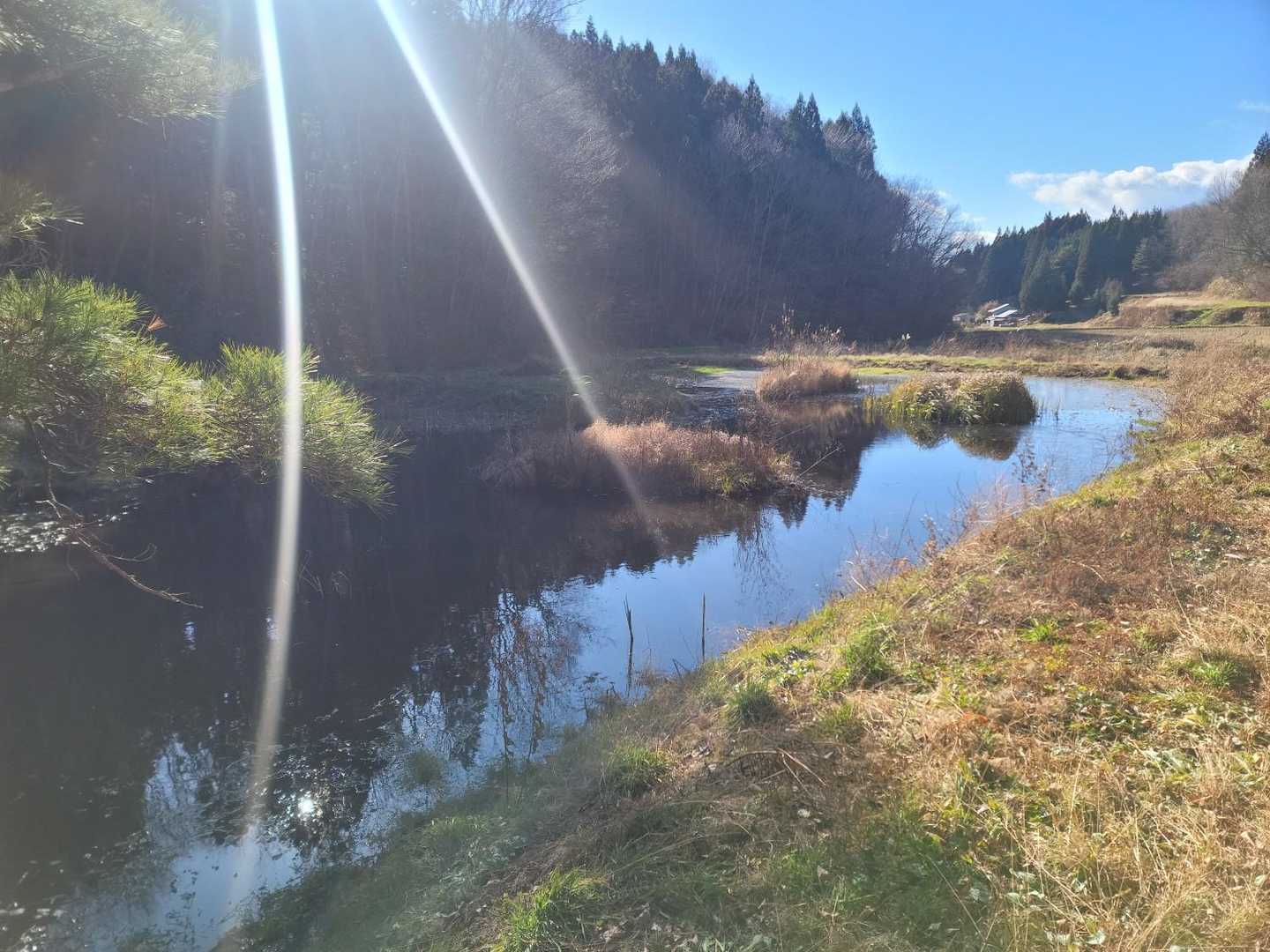 朝日山登山道西入口-朝日山 往復コースの写真