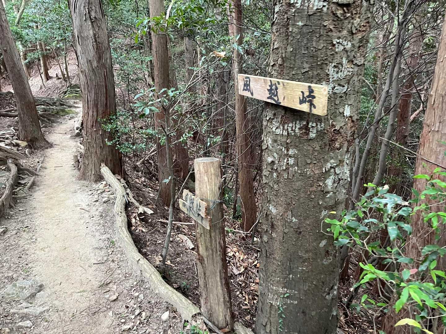 相変わらず風が吹かない風越峠😅
でも涼しいんです♪