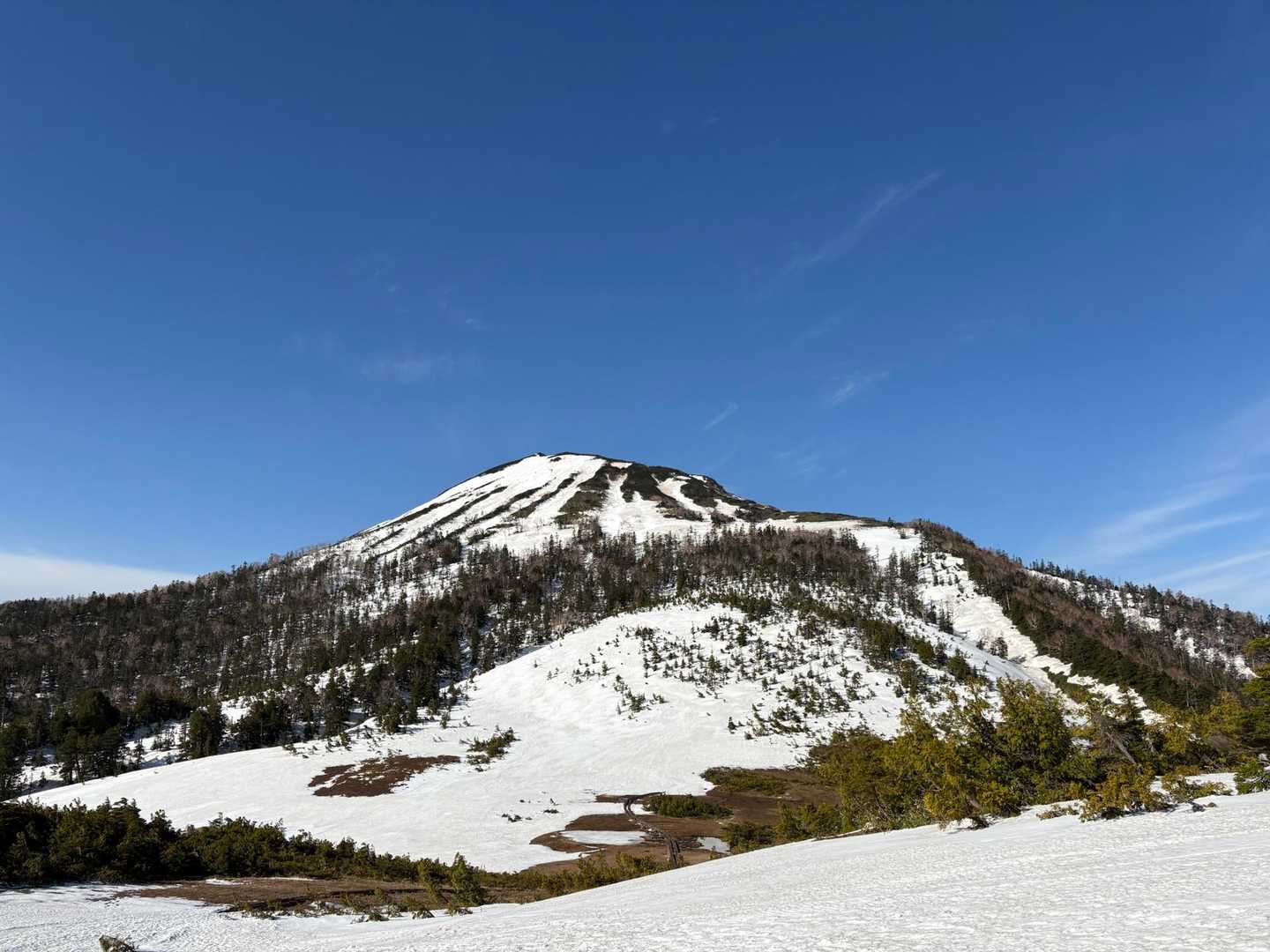 至仏岳　燧ヶ岳　会津駒ヶ岳　越後駒ヶ岳　巻機山　大型山岳模型透明ケース無し 至仏岳 燧ヶ岳 会津駒ヶ岳 越後駒ヶ岳 巻機山 大型山岳模型透明ケース