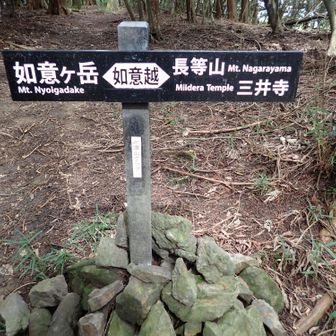 如意越に着き長等山へ
京、鹿ヶ谷から近江、三井寺を結ぶ古道
