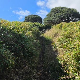 こんな感じを登って行きます。
