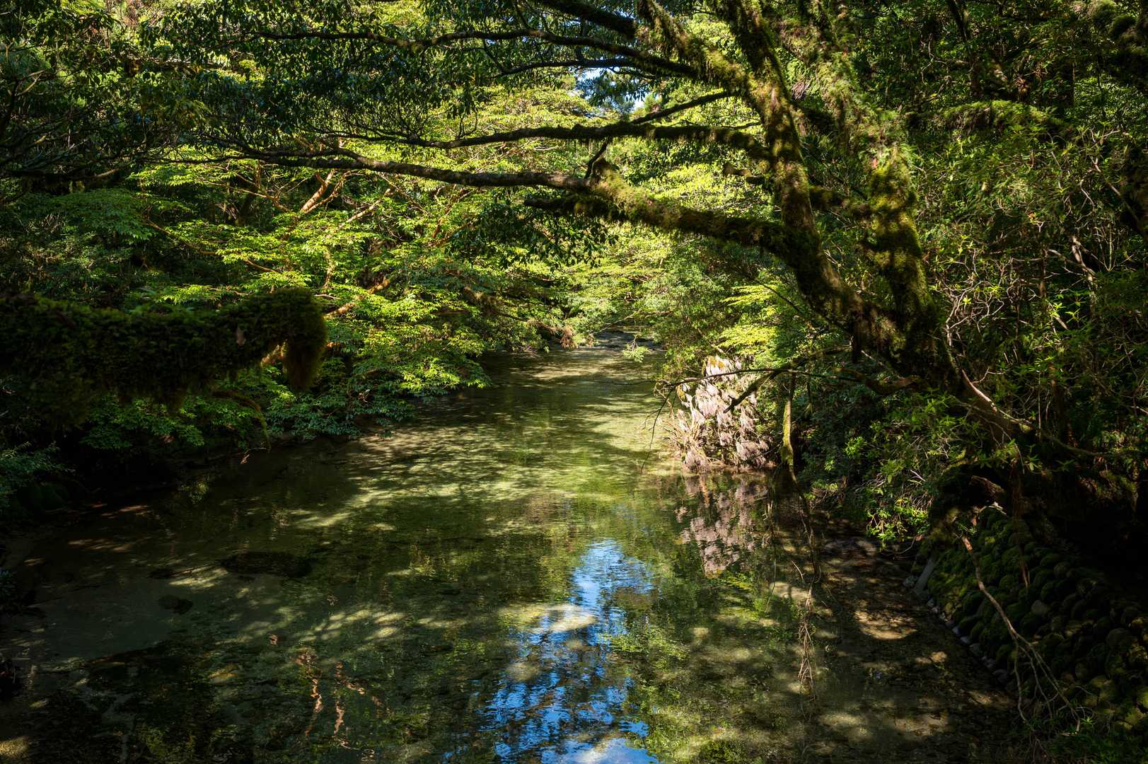 とても美しい川！