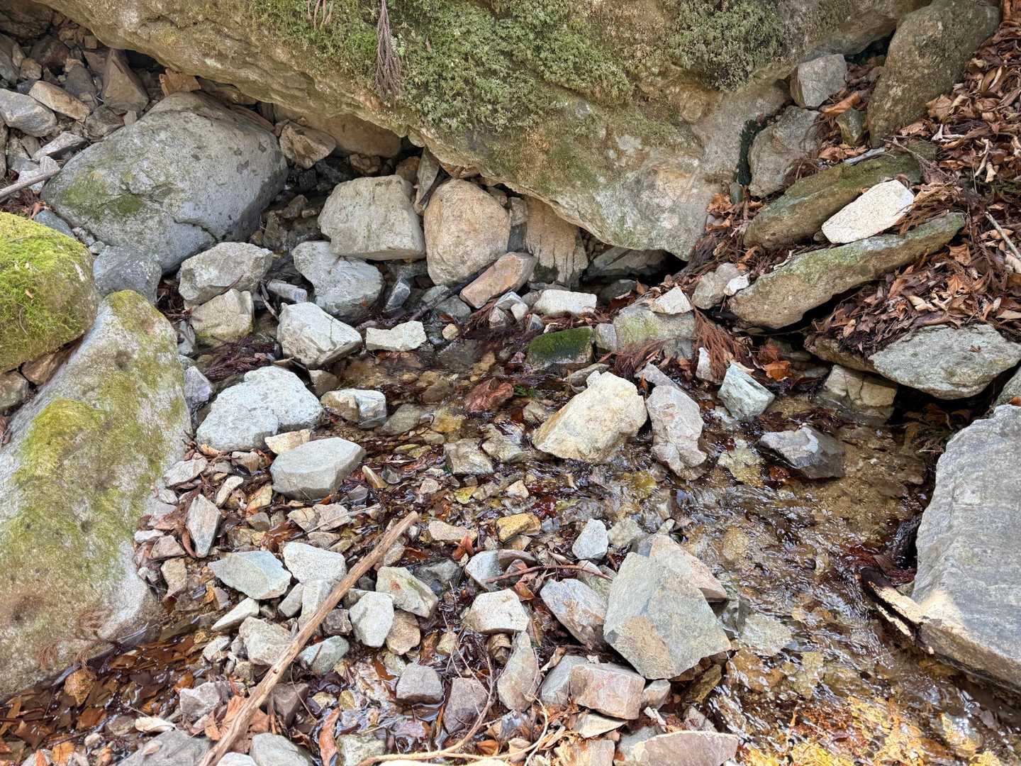 下りて来て沢の水💦
ひゃっとする。さすが冷水