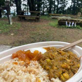 お昼ごはん
豆・ブロッコリーと、えのき・しめじの鯖入りスパイスカレー🍛ゆで卵添え。
ごはんは玄米。