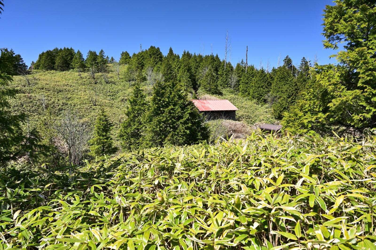 展望ポイントから避難小屋方面
笹原が広がる