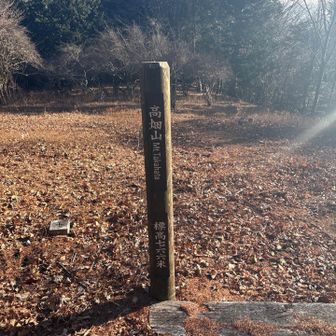 高畑山もピークハント、このルート下りでもアップダウンの連続。登りの人はもっと大変だろうな。