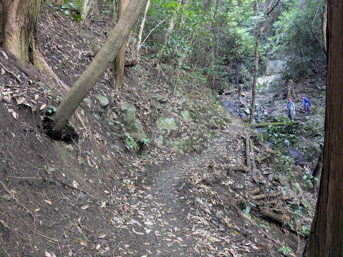 杉山橋。