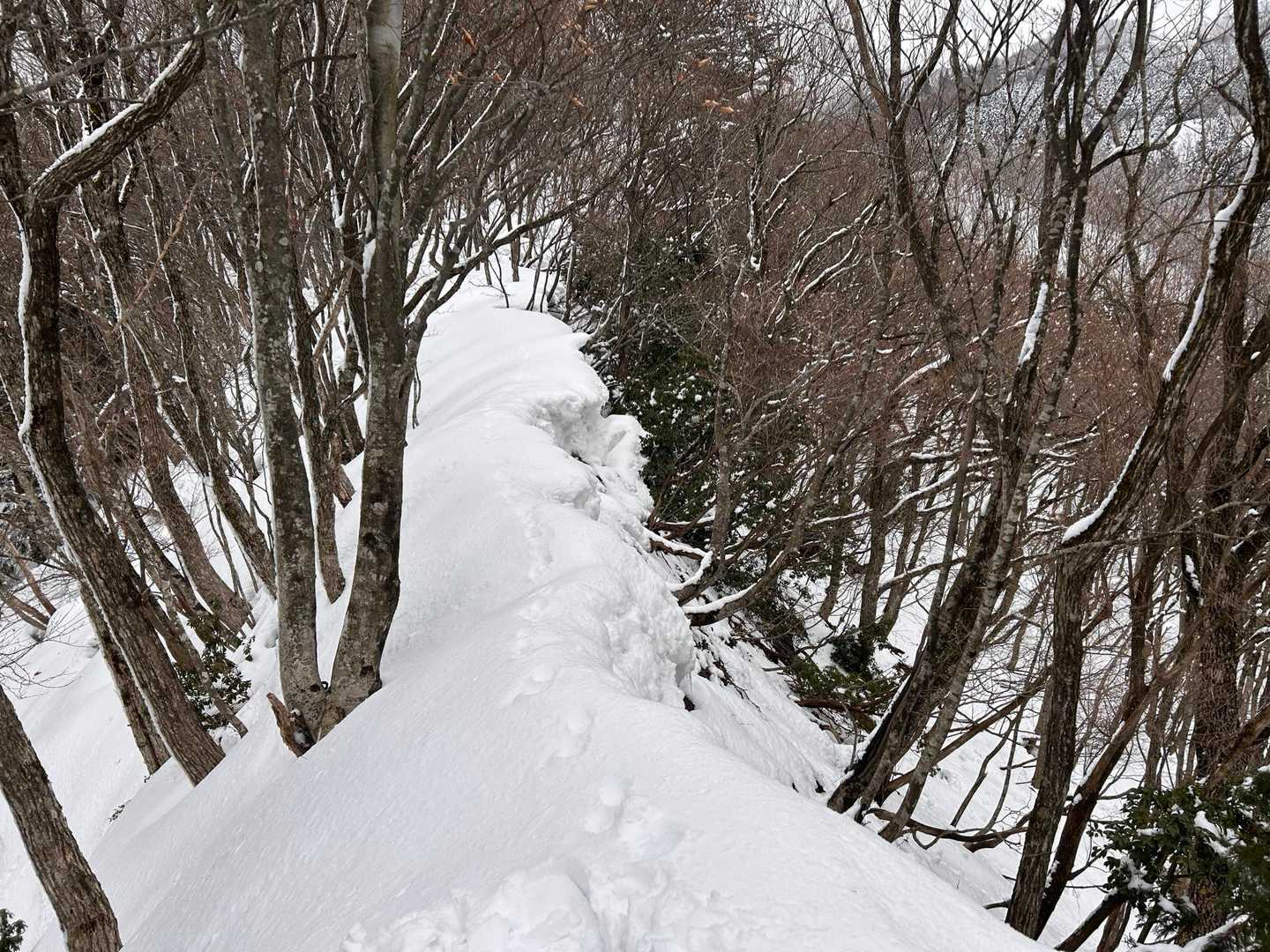 馬の背-蘇武岳 往復コースの写真