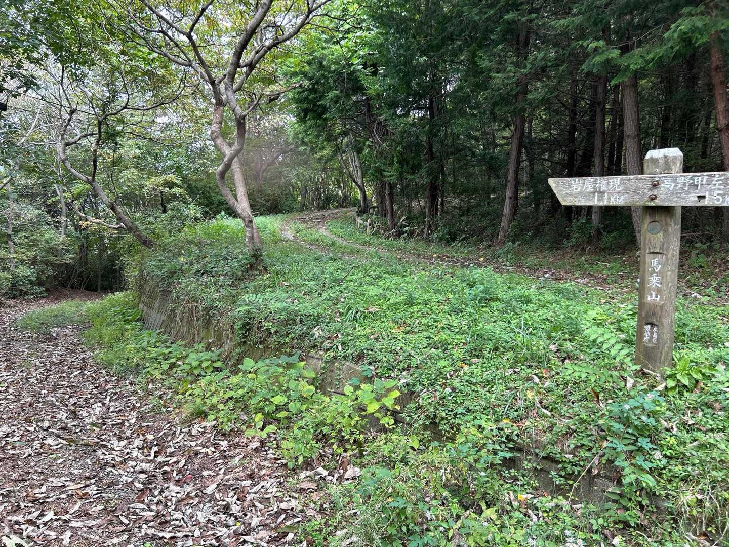 林道を歩きます