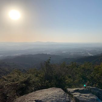 すっかりお日さまが昇りました😊