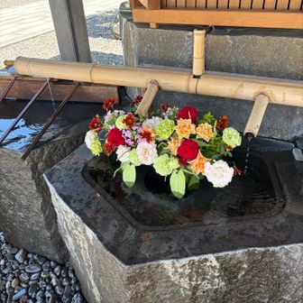 心強い女郎蜘蛛