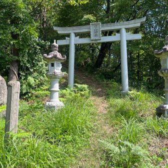 羽山神社。この先にピークがあるので、寄り道します。
