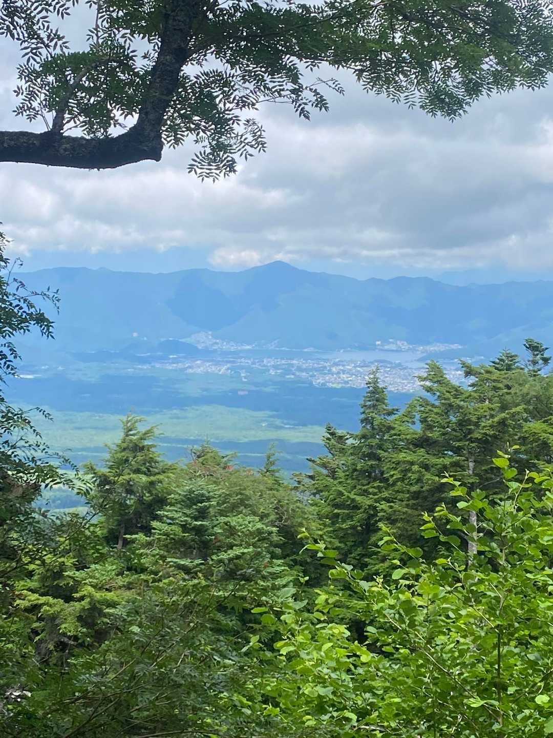 河口湖が見える